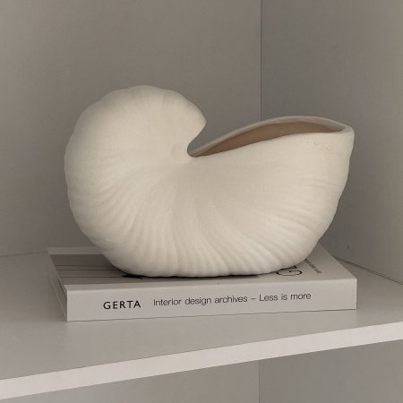 فازة الصدفة بشكل مميز